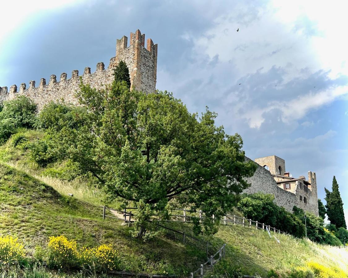 Appartamento Via Antica Padenghe sul Garda Eksteriør billede